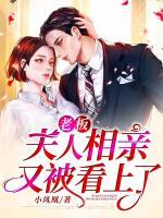 老板，夫人相親又被看上了