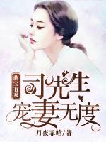 萌寶有雙：司先生寵妻無度
