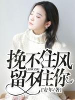 挽不住風留不住你