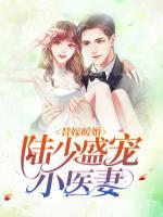 替嫁暖婚：陸少盛寵小醫(yī)妻