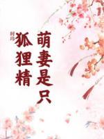 萌妻是只狐貍精
