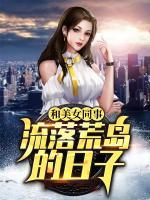 和美女同事流落荒島的日子