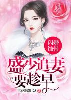 閃婚蝕骨：盛少追妻要趁早