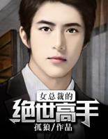 女總裁的絕世高手