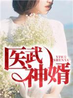 醫(yī)武神婿