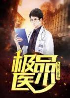 極品醫(yī)少