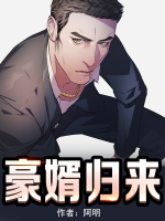 豪婿歸來