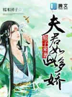 娘子來襲：夫君如此多嬌