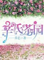 辛氏茶園