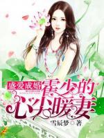 盛愛成婚：霍少的心尖暖妻