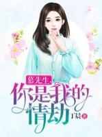 慕先生，你是我的情劫