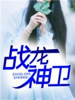 戰(zhàn)龍神衛(wèi)