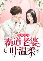 總裁絕寵：霸道老婆葉溫柔