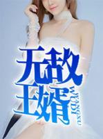 無(wú)敵王婿