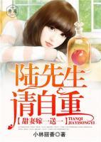 甜妻嫁一送一：陸先生，請(qǐng)自重