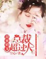 甜蜜婚寵：總裁，超過火