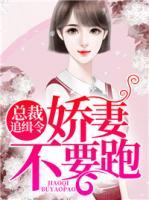 總裁追緝令，嬌妻不要跑