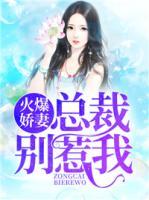 火爆嬌妻：總裁別惹我