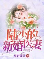 陸少的新婚醫(yī)妻