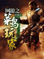 網(wǎng)游之菜鳥玩家