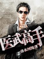 醫(yī)武高手