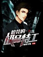 ?；ǖ臉O品特工