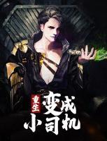 重生變成小司機