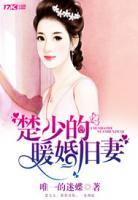楚少的暖婚舊妻