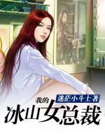 我的冰山女總裁