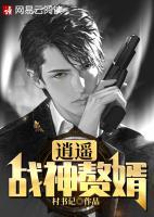 逍遙戰(zhàn)神贅婿
