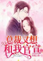 總裁又想和我官宣
