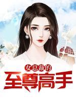 女總裁的至尊高手