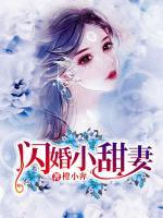 閃婚小甜妻
