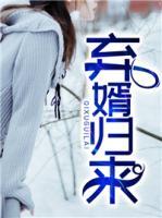 棄婿歸來