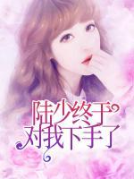 陸少終于對我下手了