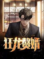 狂龍贅婿