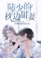 陸少的枕邊甜妻