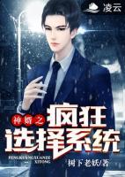 神婿之瘋狂選擇系統(tǒng)