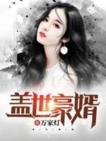 蓋世豪婿