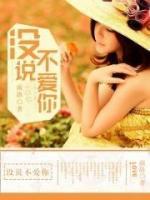 沒說不愛你