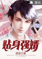 貼身強婿