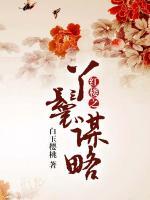 紅樓之丫鬟謀略