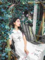 替婚小妻：總裁寵上癮