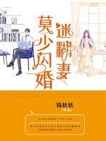 莫少閃婚迷糊妻