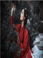 王妃嫁臨：王爺，我不嫁