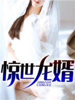 驚世龍婿