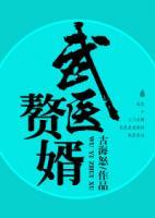 武醫(yī)贅婿