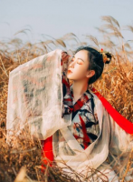 將軍種田：農(nóng)家醫(yī)女撿夫君