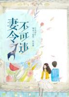 億萬梟寵，總裁追妻太強悍
