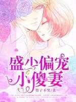 盛少偏寵小傻妻
